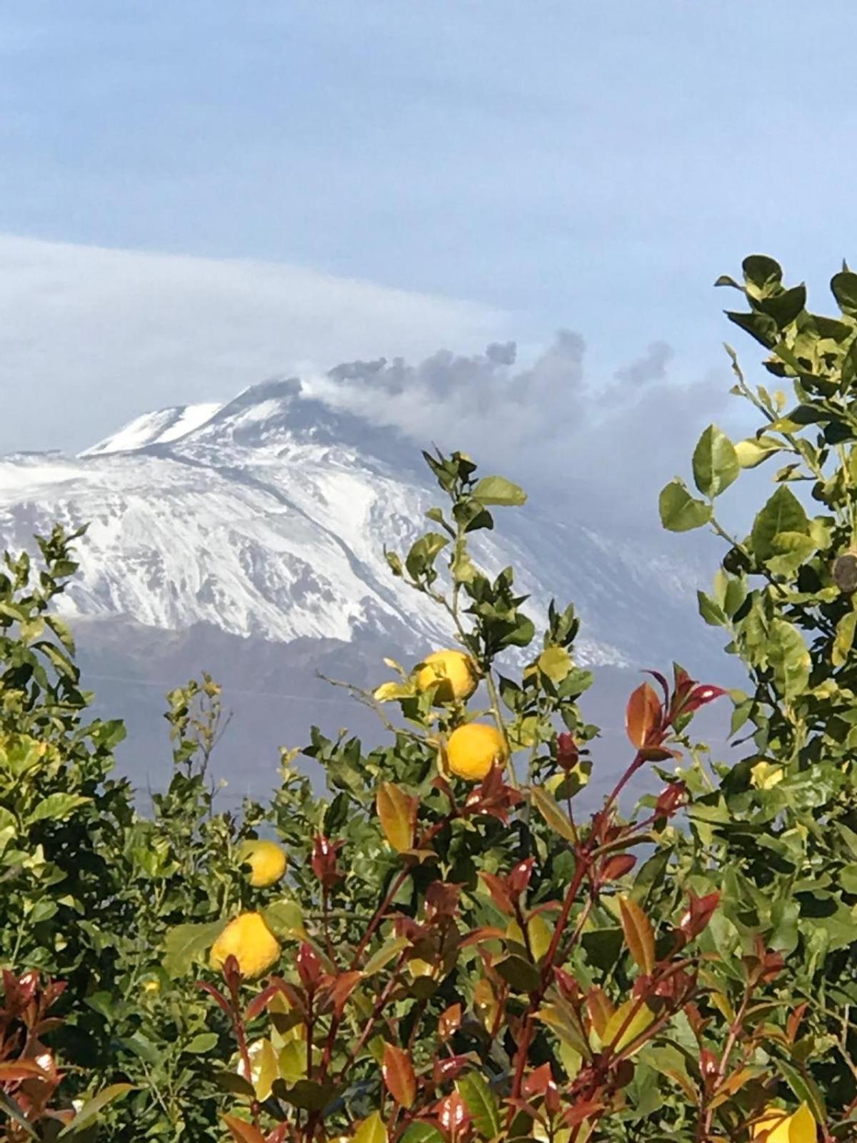 דירות אסראלה Vista Mare Etna מראה חיצוני תמונה